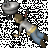 Flachmann 10.1