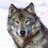 thewolfman