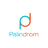 PaIindrom