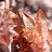 Rhodochrosit