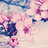 Ninetta