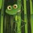Bambusfrosch