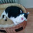 Snoopy10