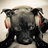 Frops83