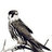 trader-hawk