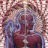 lateralus266