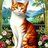 Kater313