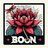 Boony06