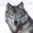 wolfbpc