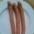 Wienerle