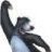 Balu123