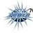 power70