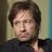 HankMoody