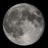 Die irre Luna