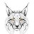 Lynx