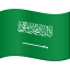 🇸🇦