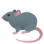 Ratte :rat: 🐀