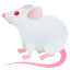 🐁