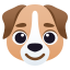 Hund :dog: 🐶