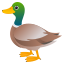 Ente :duck: 🦆
