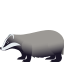 Dachs :badger: 🦡