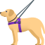 Blindenhund :guide_dog: 🦮