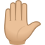 ✋🏼